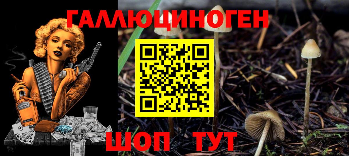 Галлюциногенные грибы GOLDEN TEACHER  купить  сайты  Лянтор  Вход с VPN 
