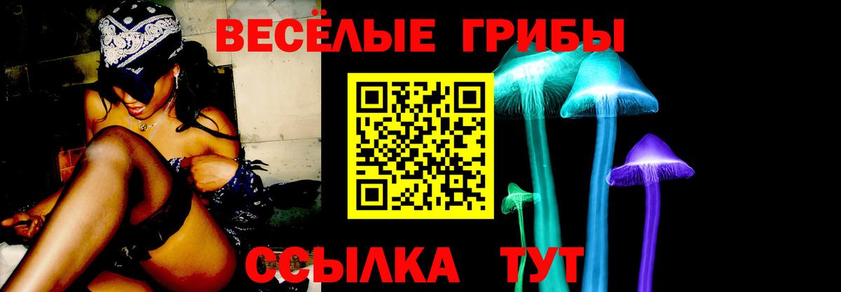 Галлюциногенные грибы Psilocybe Лянтор